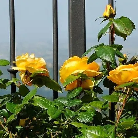 Villa dei Fantasmi-2